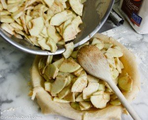 Apple Pie ~ tansfer applie mixture to dish