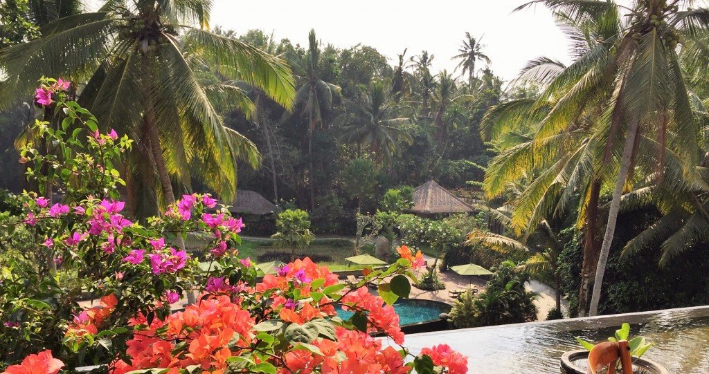 Ubud - hotel patio